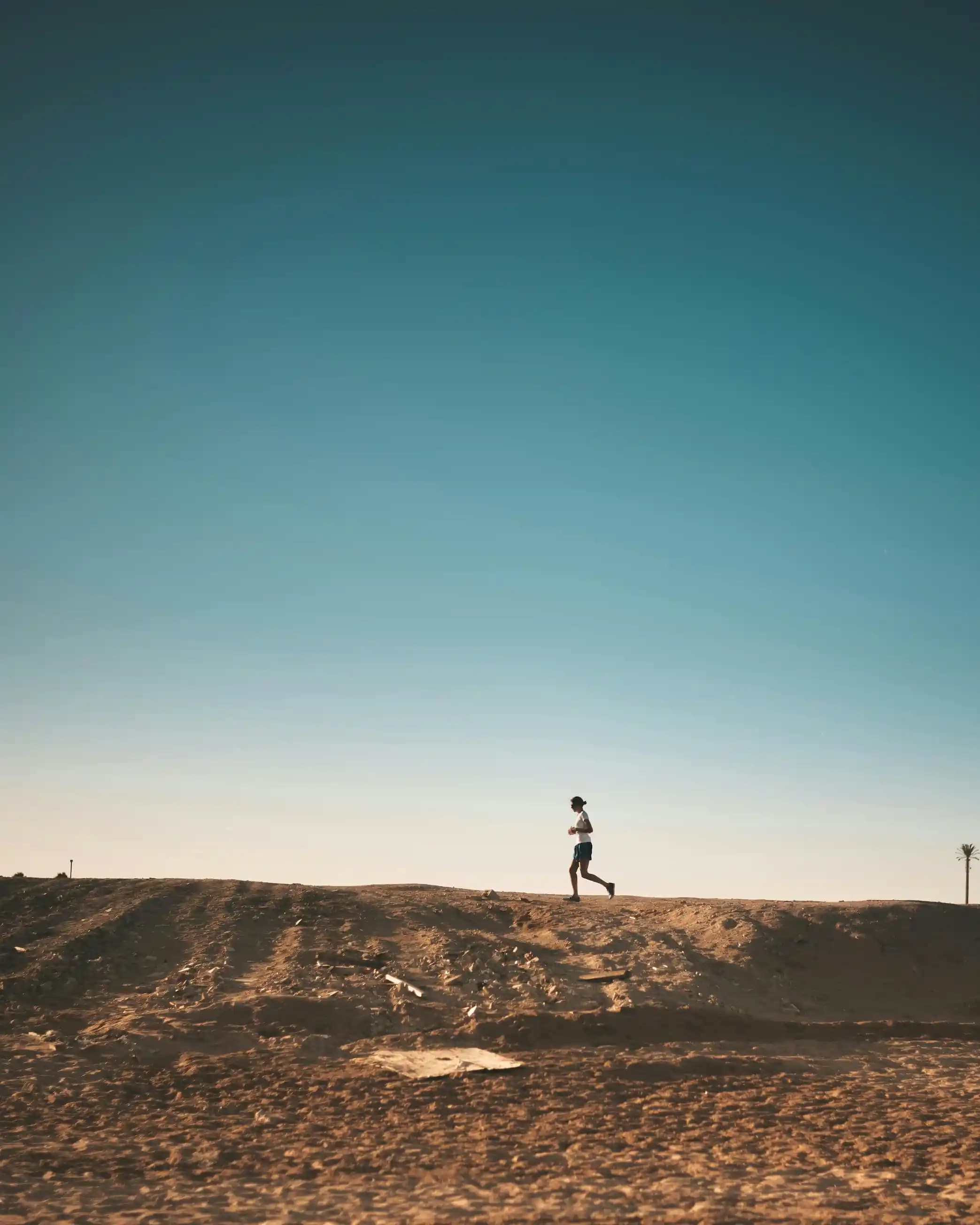 Endurance et Résilience : Comment Zigouplex Améliore vos Performances